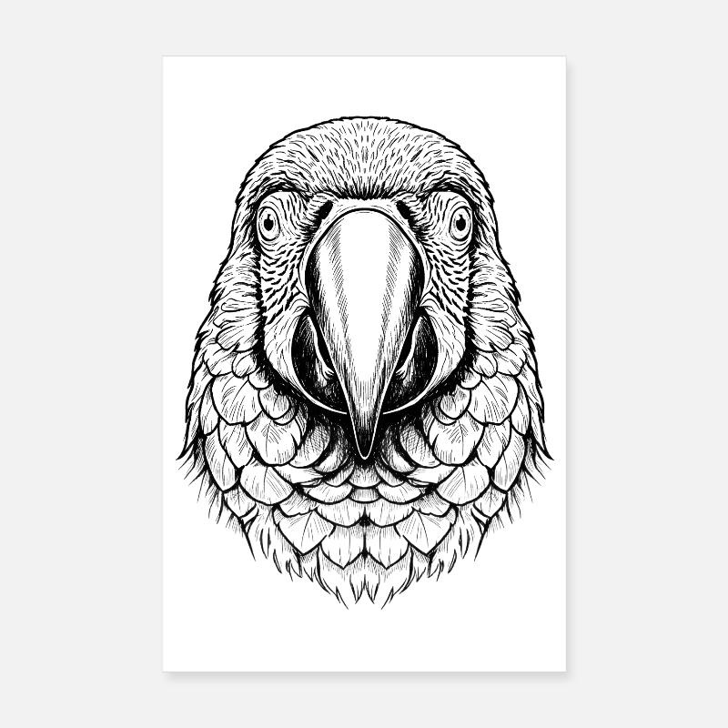 Perroquet ara Poster 20 x 30 cm