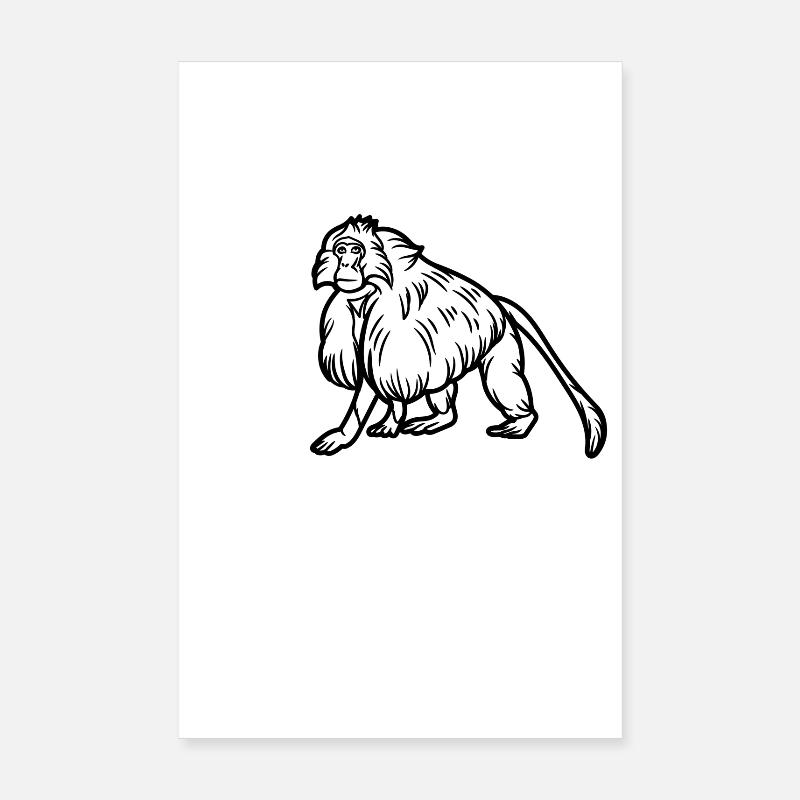 Gelada-Affe Poster 20x30 cm
