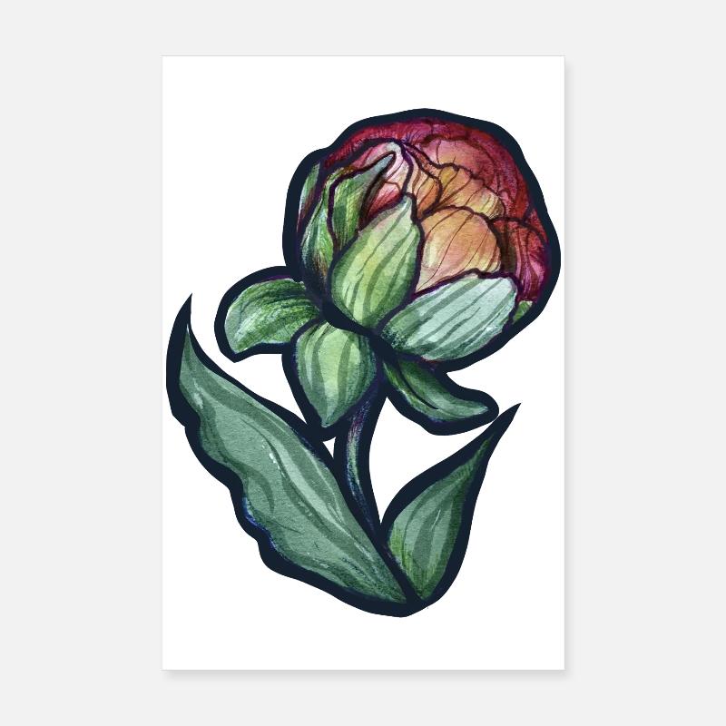 Floraison de pivoine aquarelle Poster 20 x 30 cm