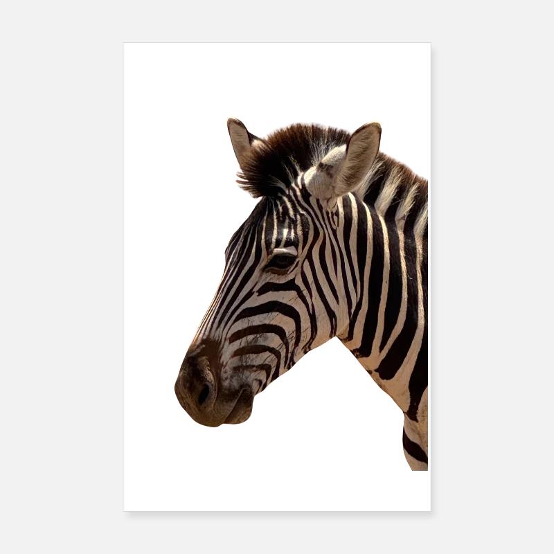 Zebra Head Poster 8" x 12" (20x30 cm)