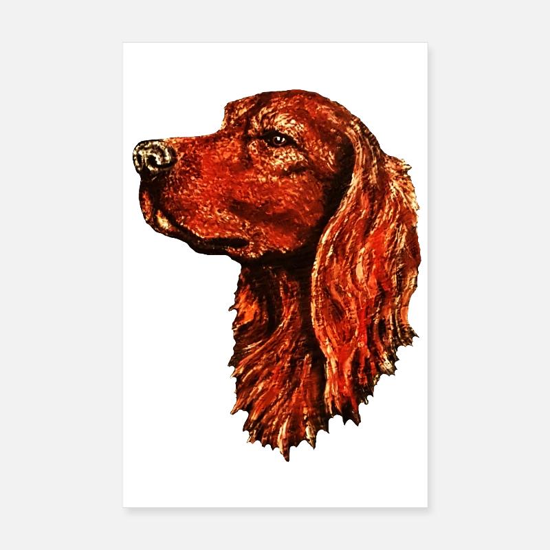 Portrait de setter irlandais Poster 20 x 30 cm