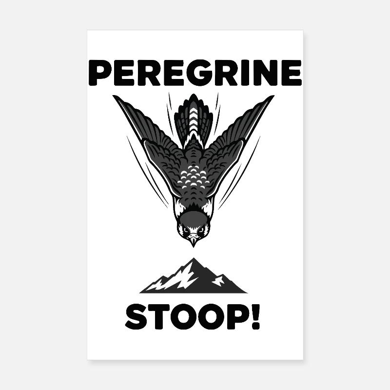 Faucon Pèlerin Stoop Chasse Peregrine Poster 20 x 30 cm