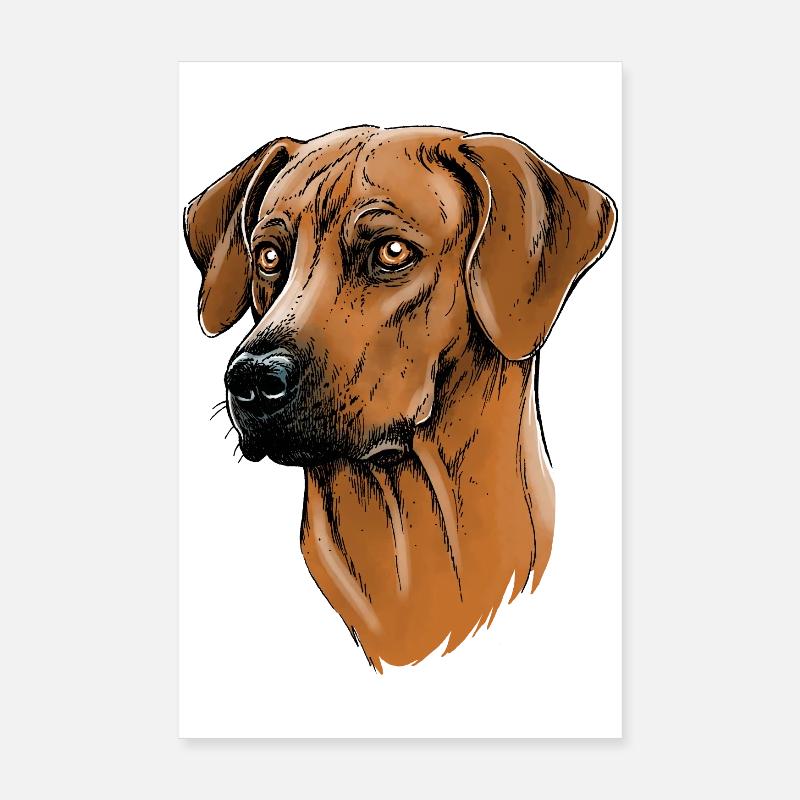 Rhodesian Ridgeback Poster 20x30 cm