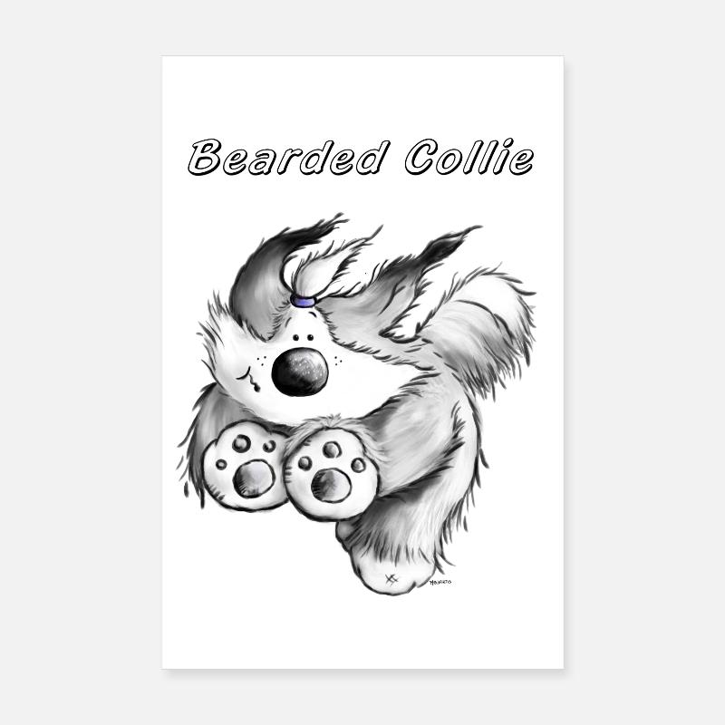 Running Bearded Collie - Poster 8" x 12" (20x30 cm) - white