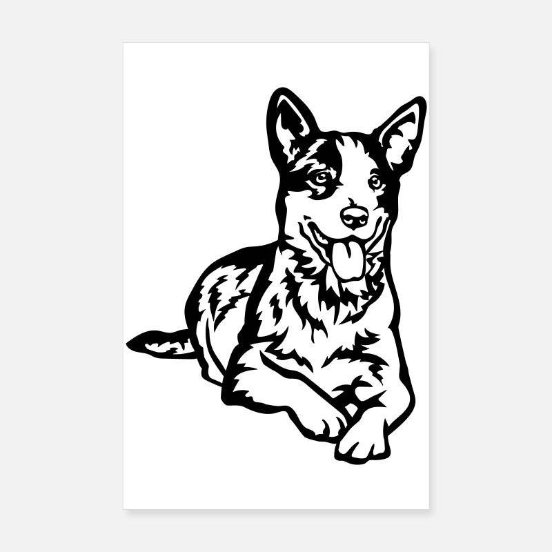 Bouvier australien Poster 20 x 30 cm