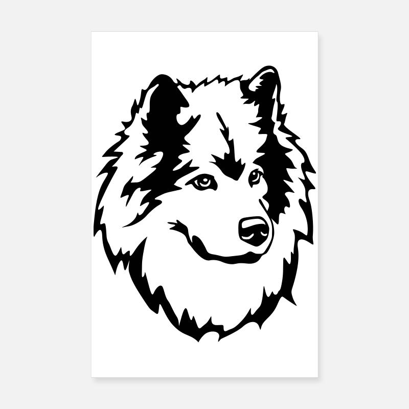 Eurasier Kopf Poster 20x30 cm