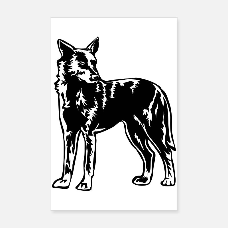 Hollandse Herder Poster 20x30 cm