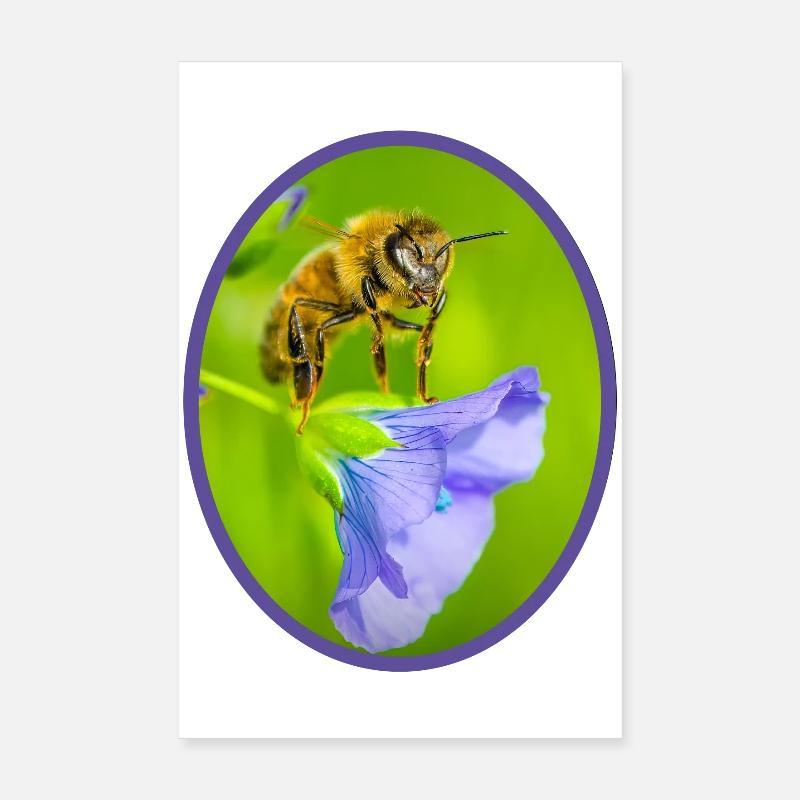 Abeille sur fleur violette - ovale - Poster 20 x 30 cm - blanc