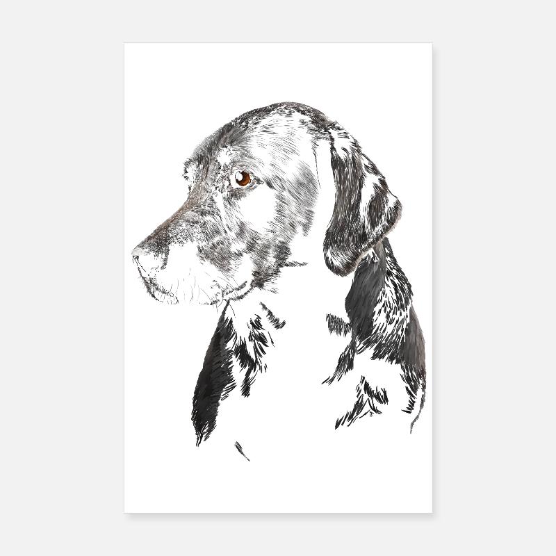 Labrador Poster 20x30 cm