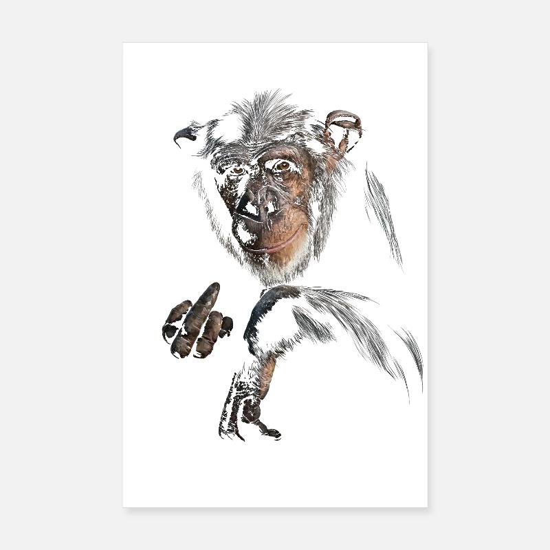 Schimpanse - Poster 20x30 cm - Weiß