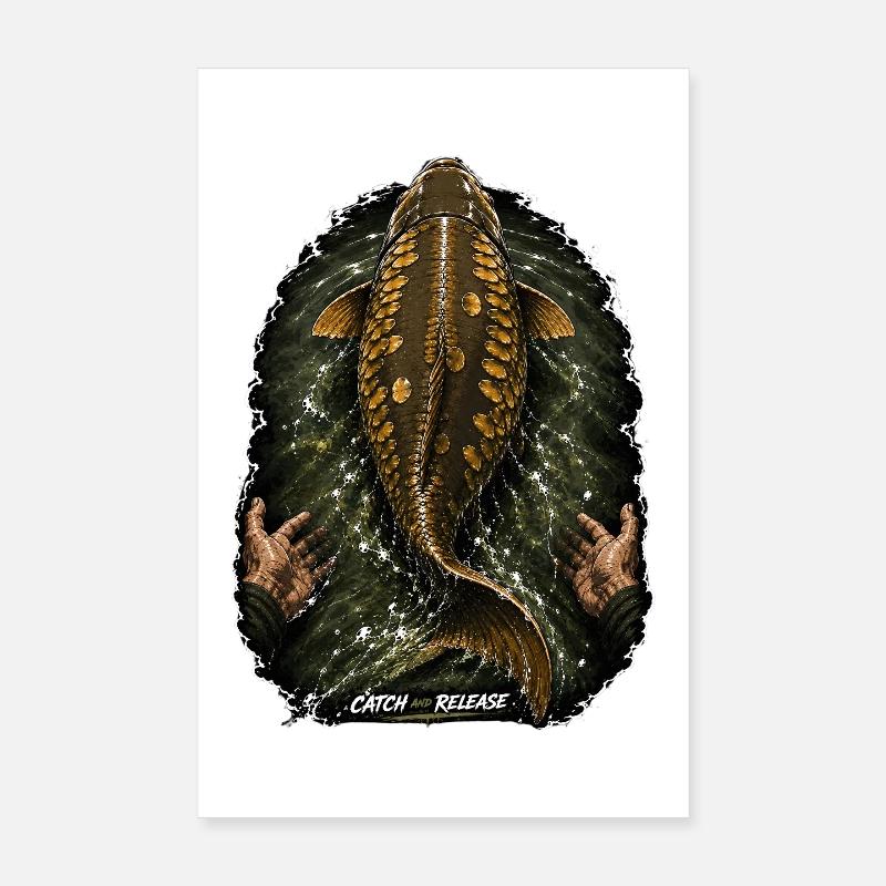 Catch & Release Karpfenfischen Poster 20x30 cm