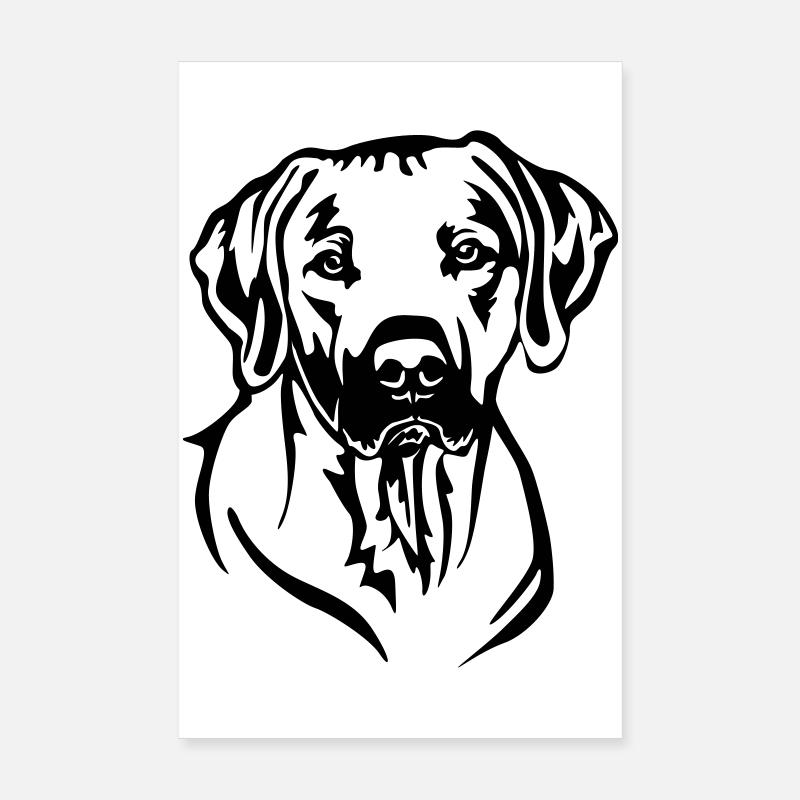 Rhodesian Ridgeback Kopf Poster 20x30 cm