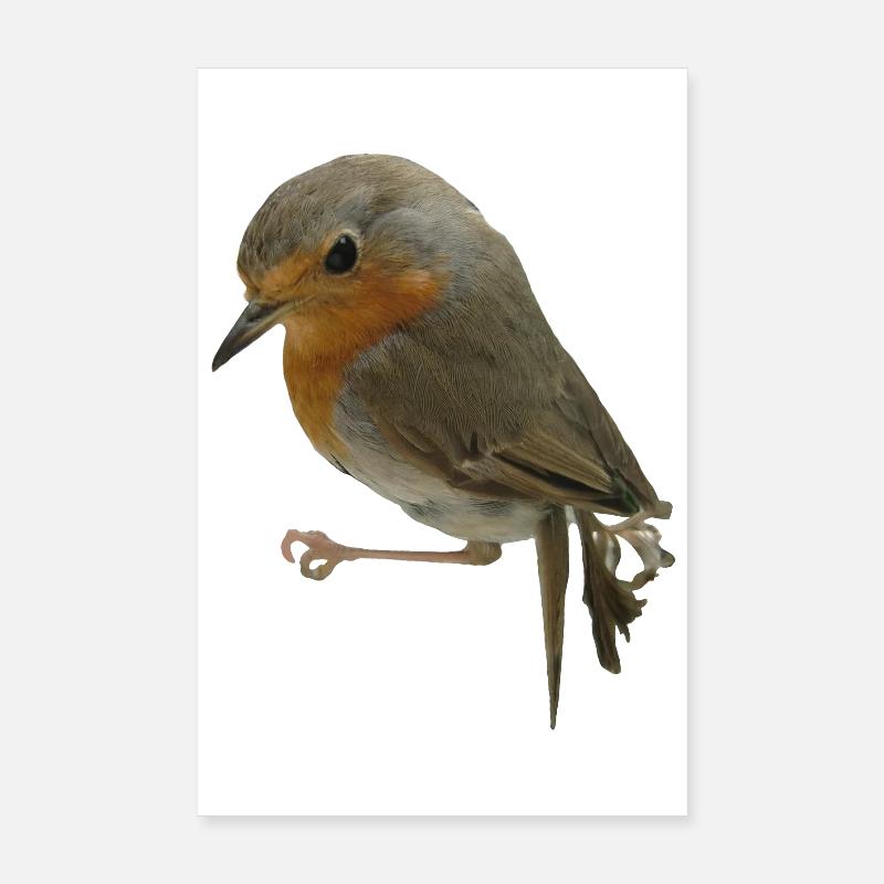 Rouge-gorge Poster 20 x 30 cm