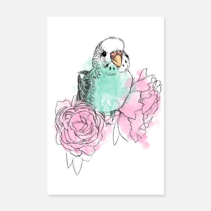 Budgerigars and peonies - Poster 8" x 12" (20x30 cm) - white