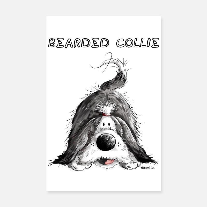 Playing Bearded Collie Poster 8" x 12" (20x30 cm)