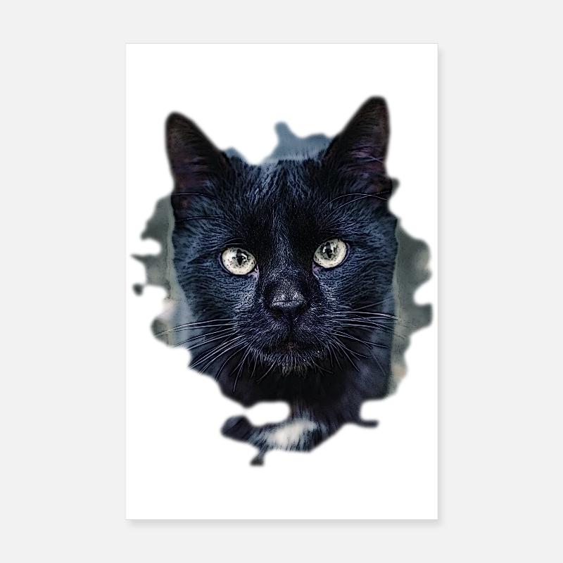 black cat chat noir - Poster 20 x 30 cm - blanc