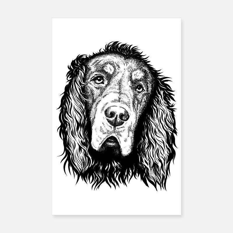 Gordon Setter Portrait Blue sw Poster 20x30 cm