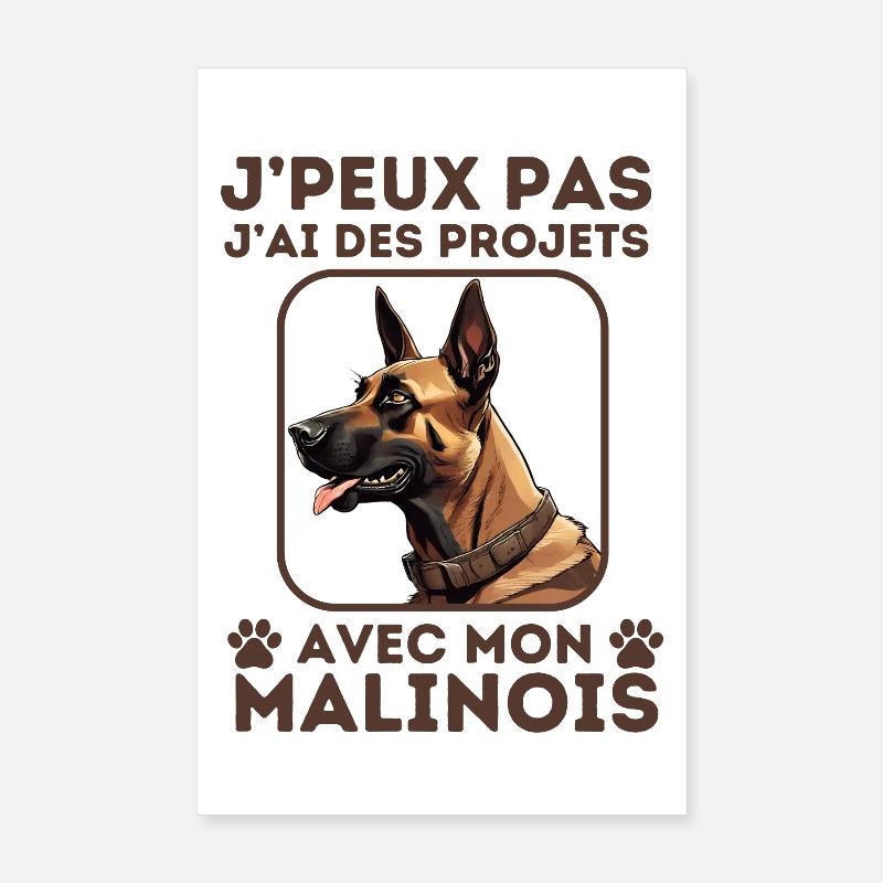 malinois chien mignon berger belge 2 Poster 20 x 30 cm