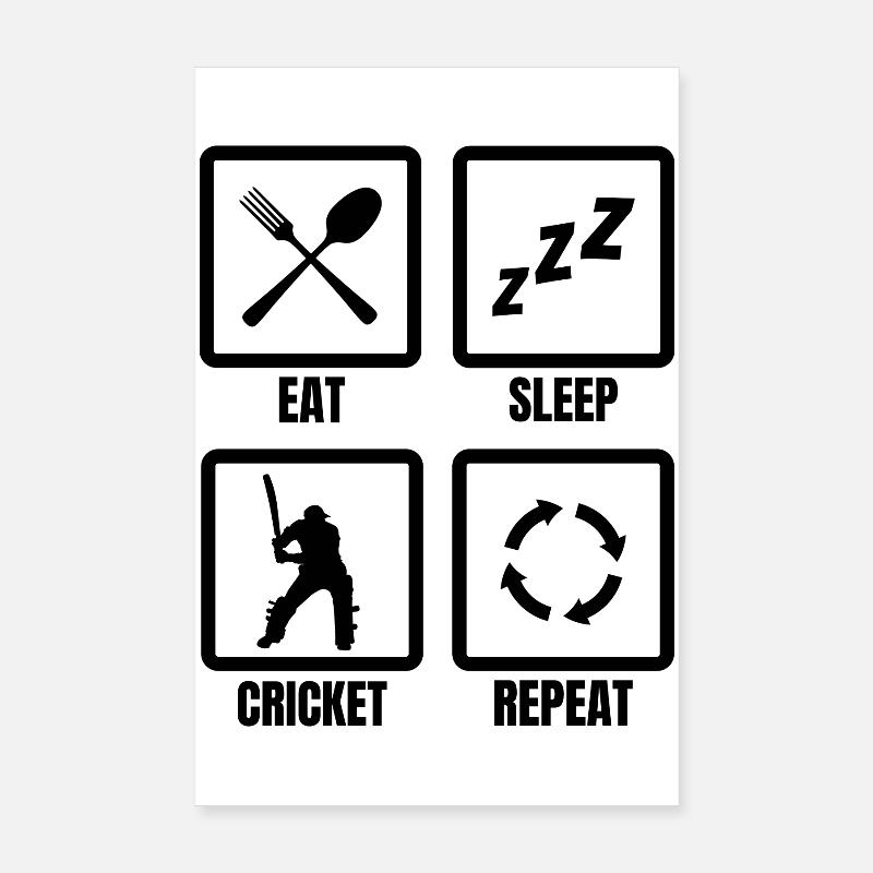 Cricket Routine Poster 8" x 12" (20x30 cm)