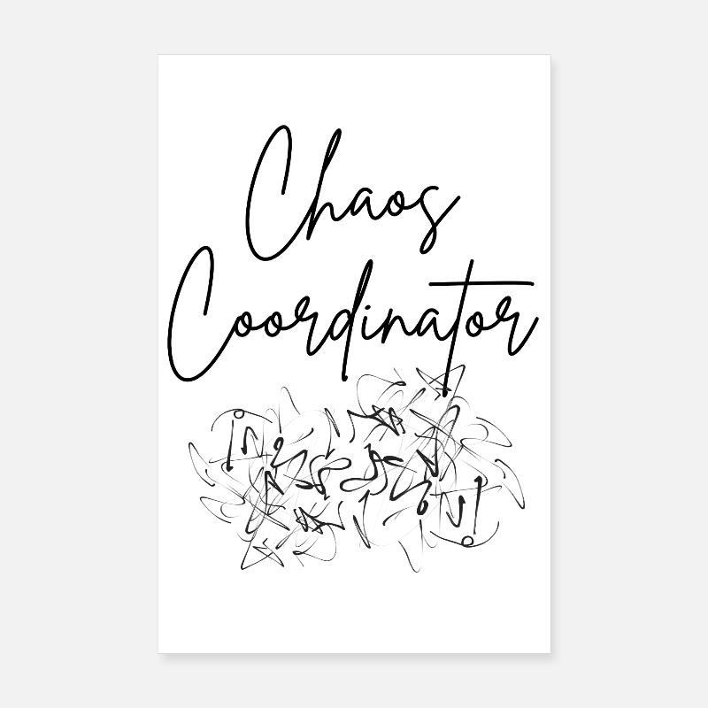 Coordinateur du Chaos Poster 20 x 30 cm