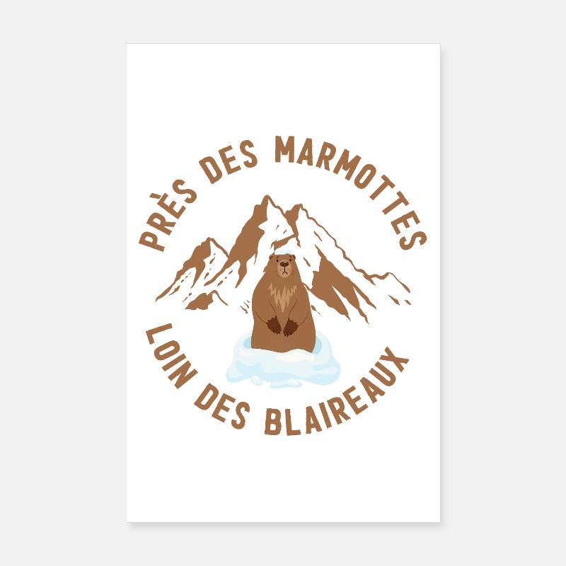 Alpenmurmeltier auf Eis Poster 20x30 cm
