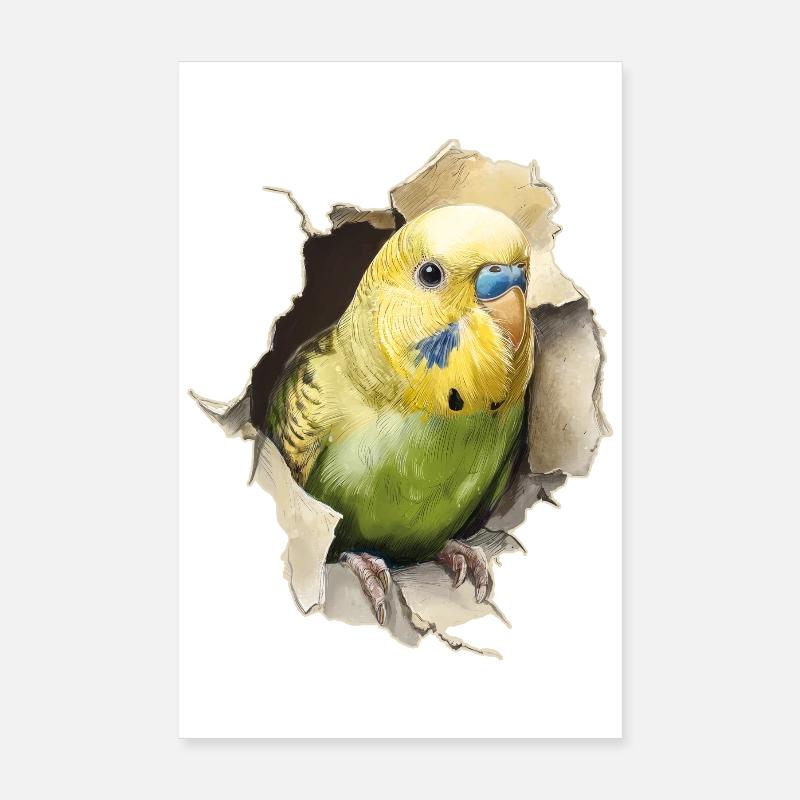 Funny budgie Poster 8" x 12" (20x30 cm)