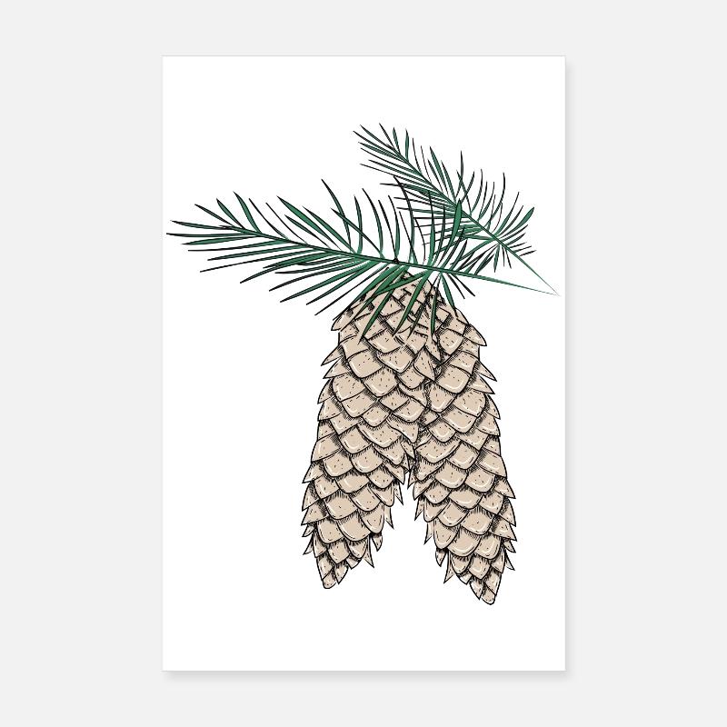 deux pommes de pin sur des branches de sapin Poster 20 x 30 cm