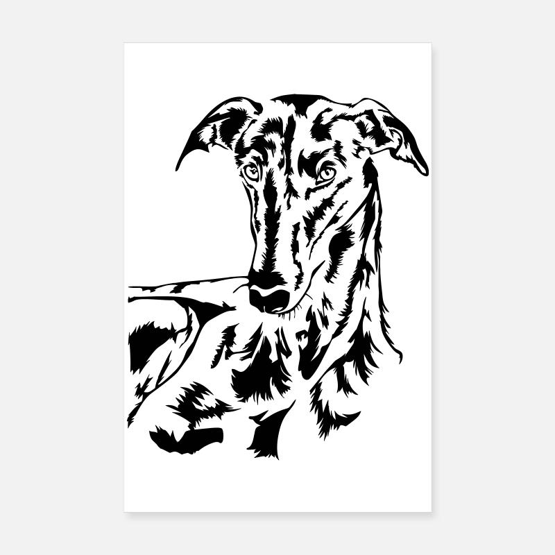 Galgo head Poster 8" x 12" (20x30 cm)