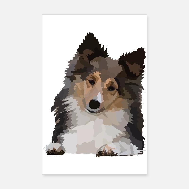 Dani, der Sheltie - Poster 20x30 cm - Weiß