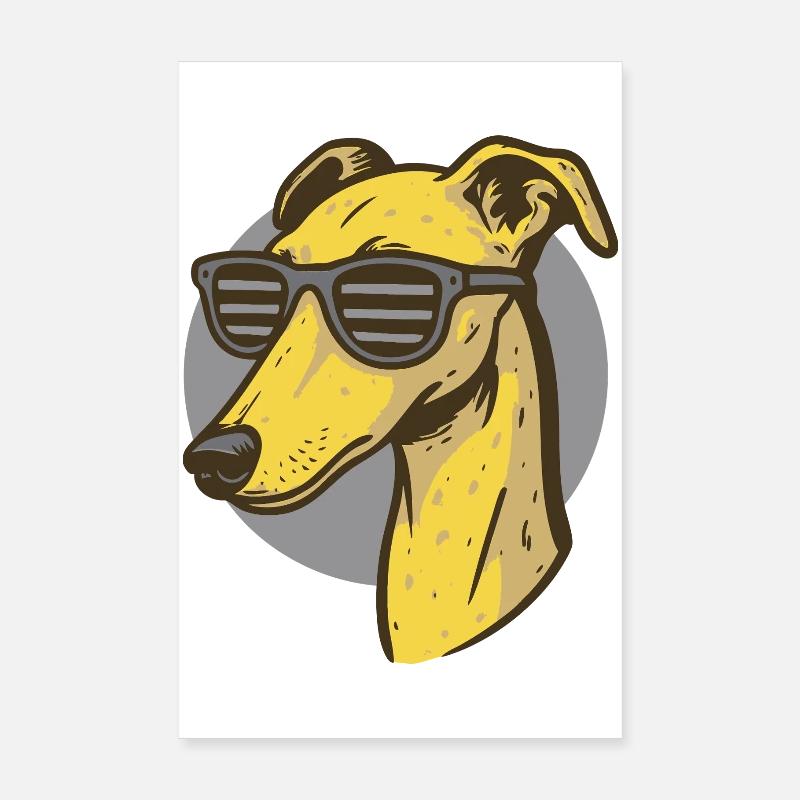 Windhund, Galgo Poster 20x30 cm