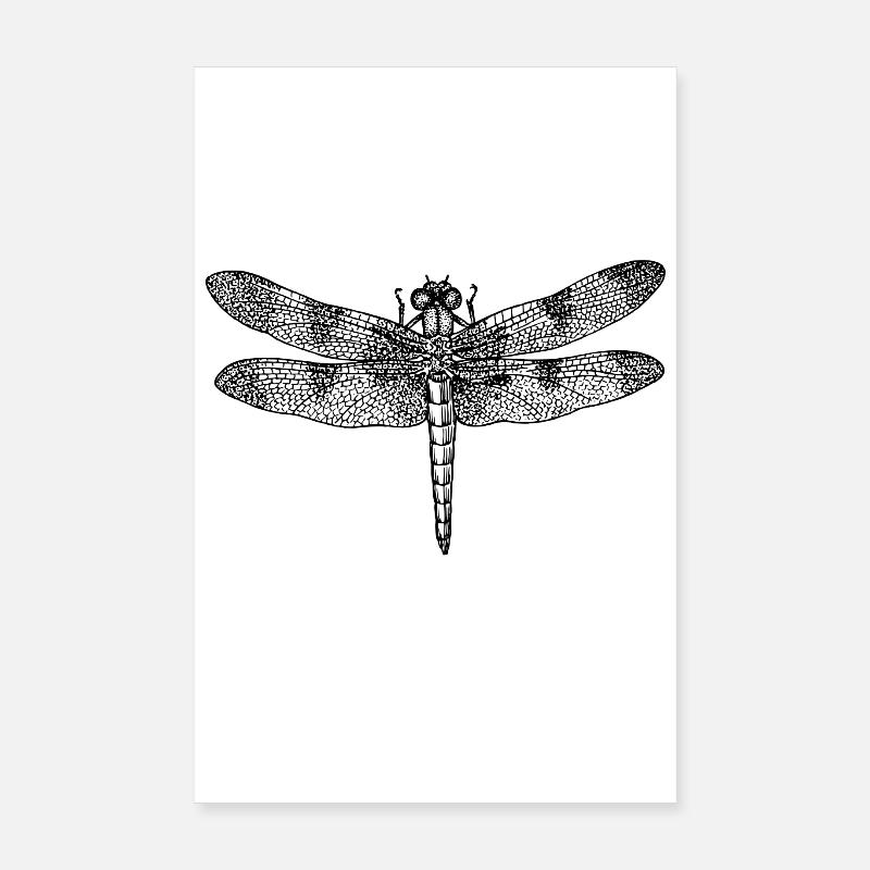 Libelle dragonfly dessin Insekt Outline retro Poster 20 x 30 cm