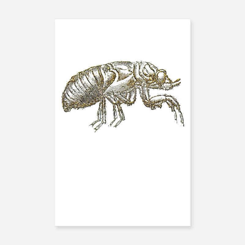 The flea Poster 8" x 12" (20x30 cm)