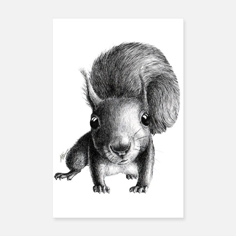 Eichhörnchen - Poster 20x30 cm - Weiß