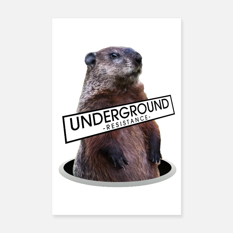 Marmotte résistante au sol - design Poster 20 x 30 cm