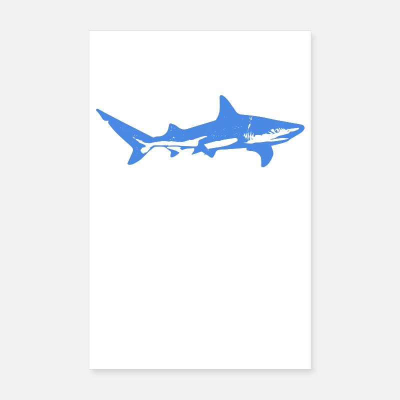 Requin bleu - Poster 20 x 30 cm - blanc