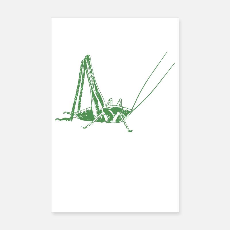 Grasshopper - Poster 20x30 cm - Weiß