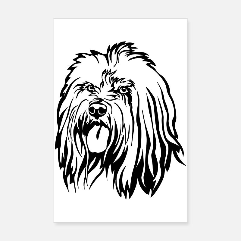 Tibet Terrier Head Poster 8" x 12" (20x30 cm)