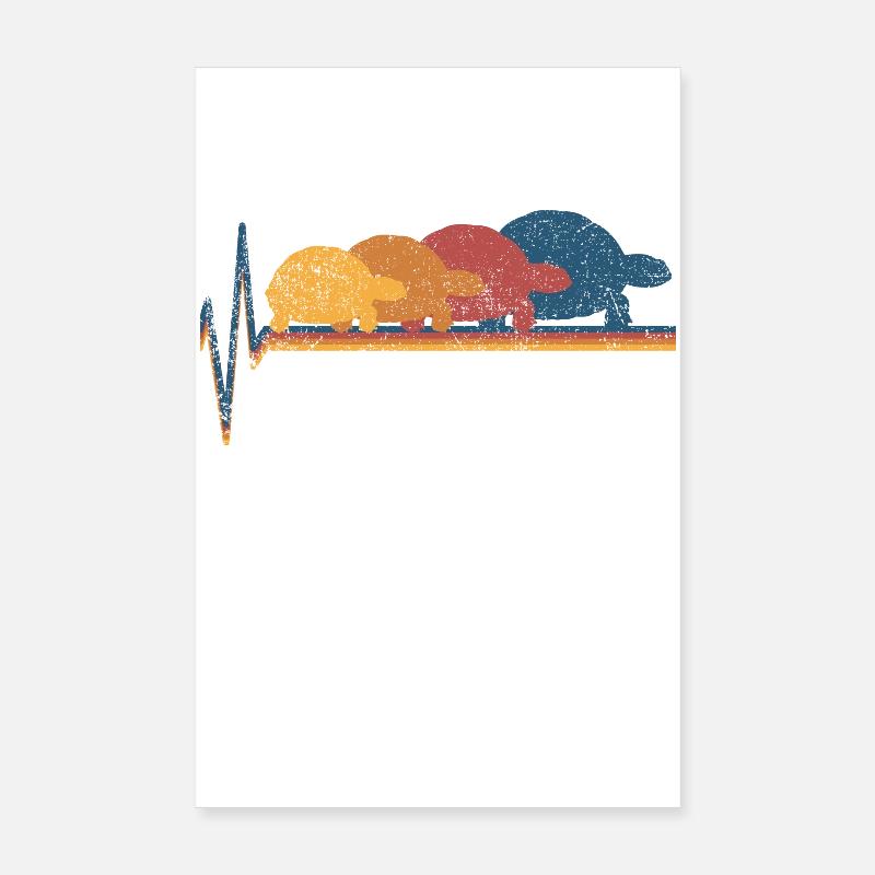 Schildkröte Schildkröten - Poster 20x30 cm - Weiß