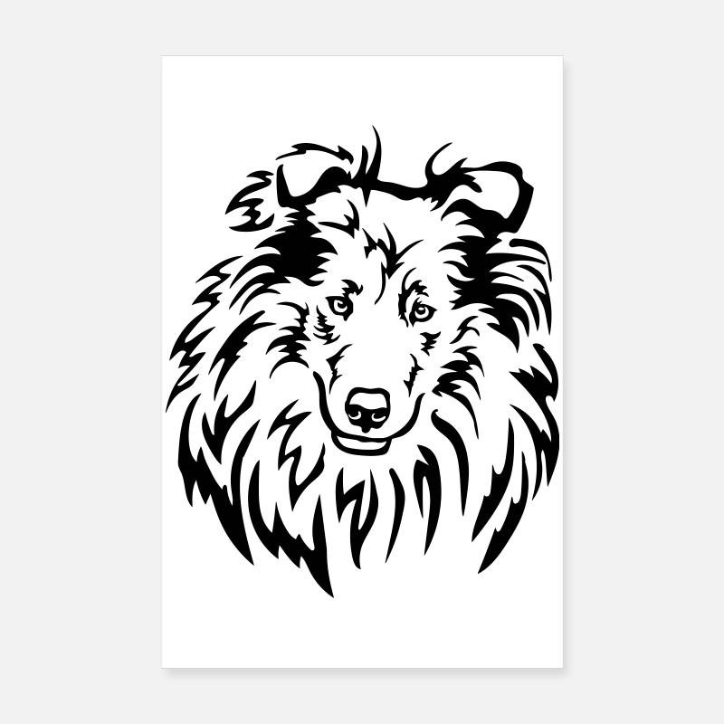 Collie Kopf Poster 20x30 cm