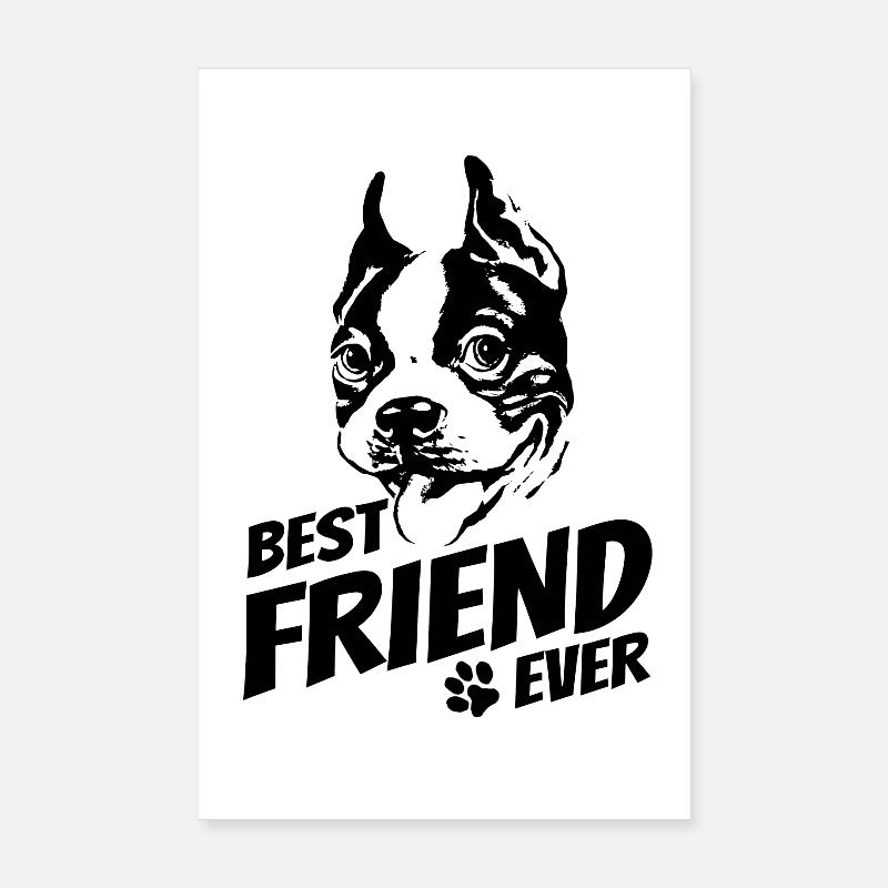 Boston Terrier - bester Freund - Hundebesitzer Poster 20x30 cm