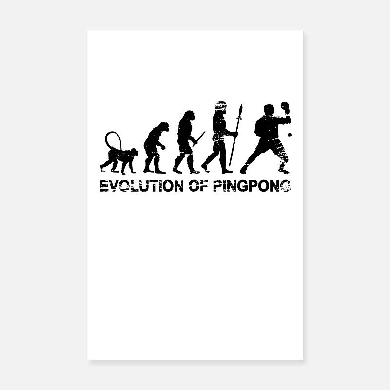 Evolution of Pingpong Poster 20x30 cm