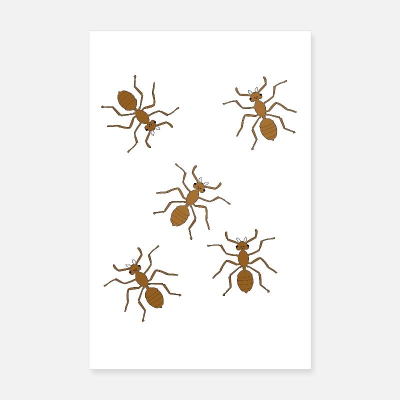 fourmis, insectes, insectes, habitants de la forêt, animaux de la forêt Poster 20 x 30 cm