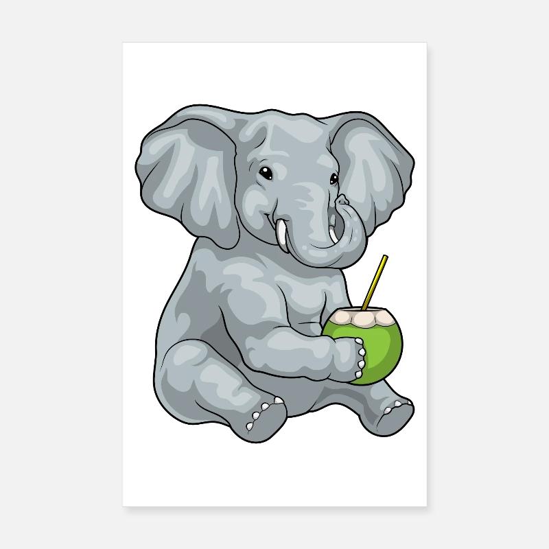Éléphant Noix de Poster 20 x 30 cm