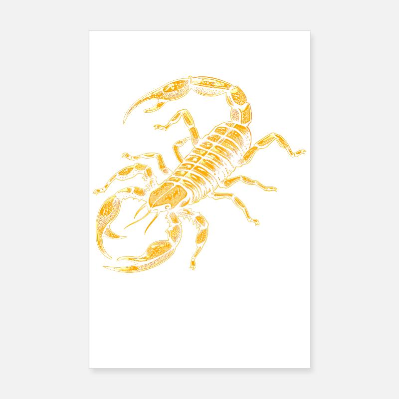 Scorpio Arachnids Scorpion Funny Scorpions Poster 8" x 12" (20x30 cm)