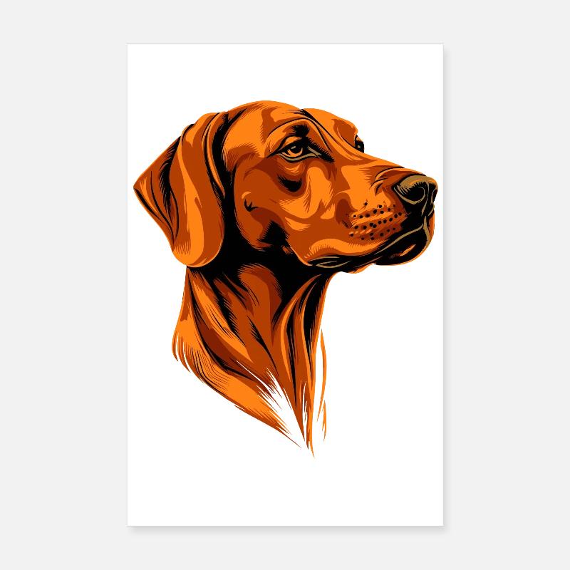 Rhodesian Ridgeback Jagdhund Hunde Stolz Ridgeback Poster 20x30 cm