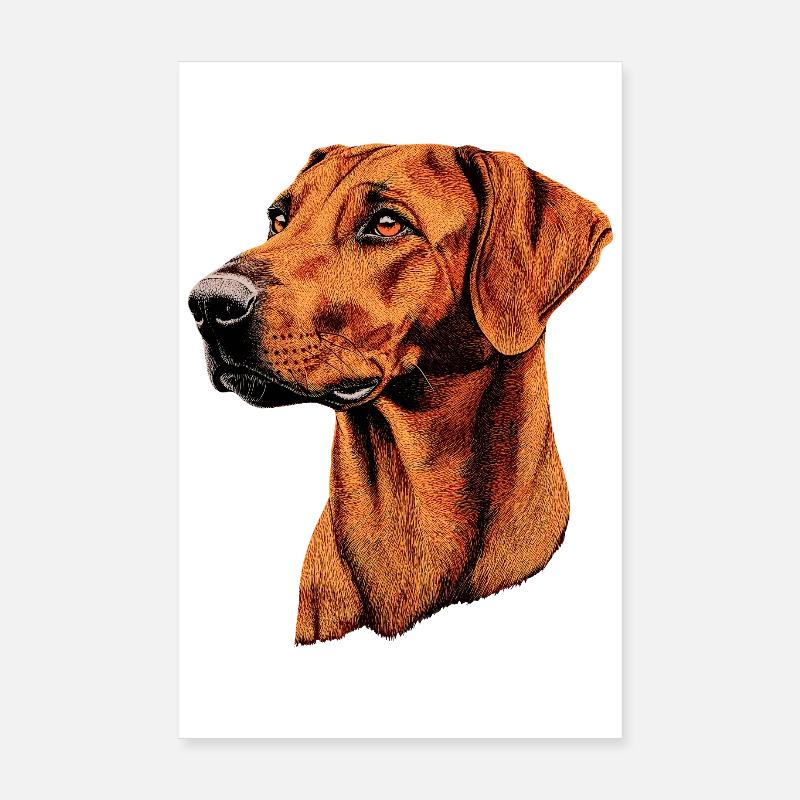 Rhodesian Ridgeback Hunting Dog Dogs Pride Ridgeback Poster 8" x 12" (20x30 cm)
