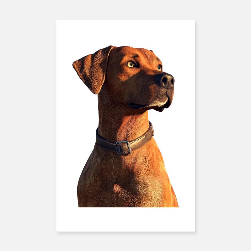 Rhodesian Ridgeback Jagdhund Hunde Stolz Ridgeback Poster 20x30 cm