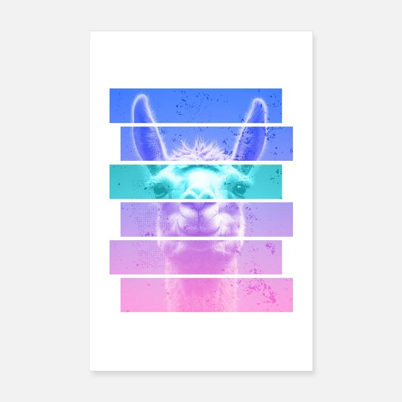 Alpaga Poster 20 x 30 cm