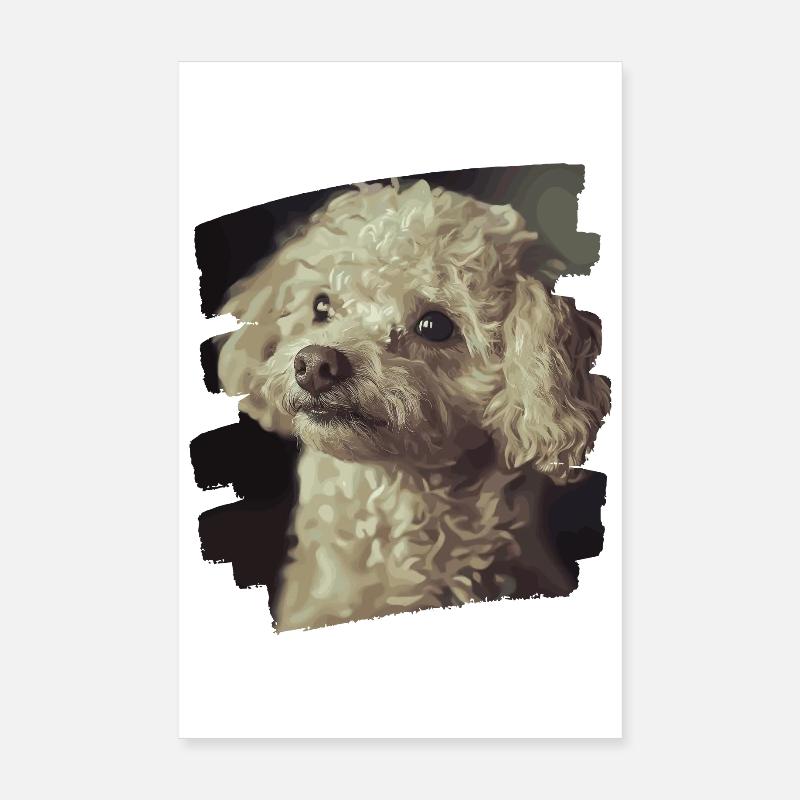 Caniche Poster 20 x 30 cm