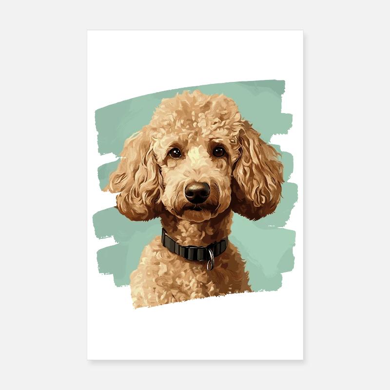 Pudel - Poster 20x30 cm - Weiß